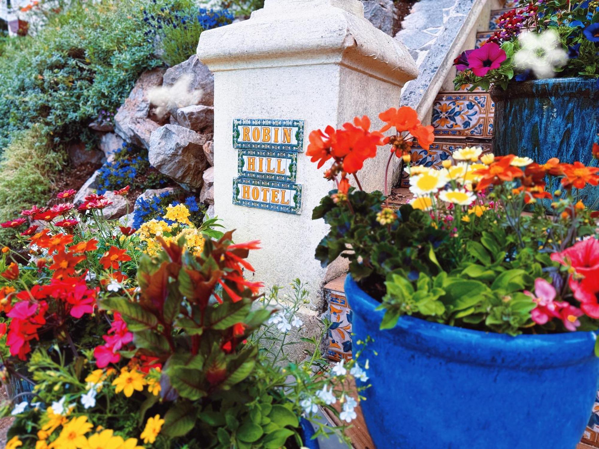 토키 The Robin Hill B&B 외부 사진