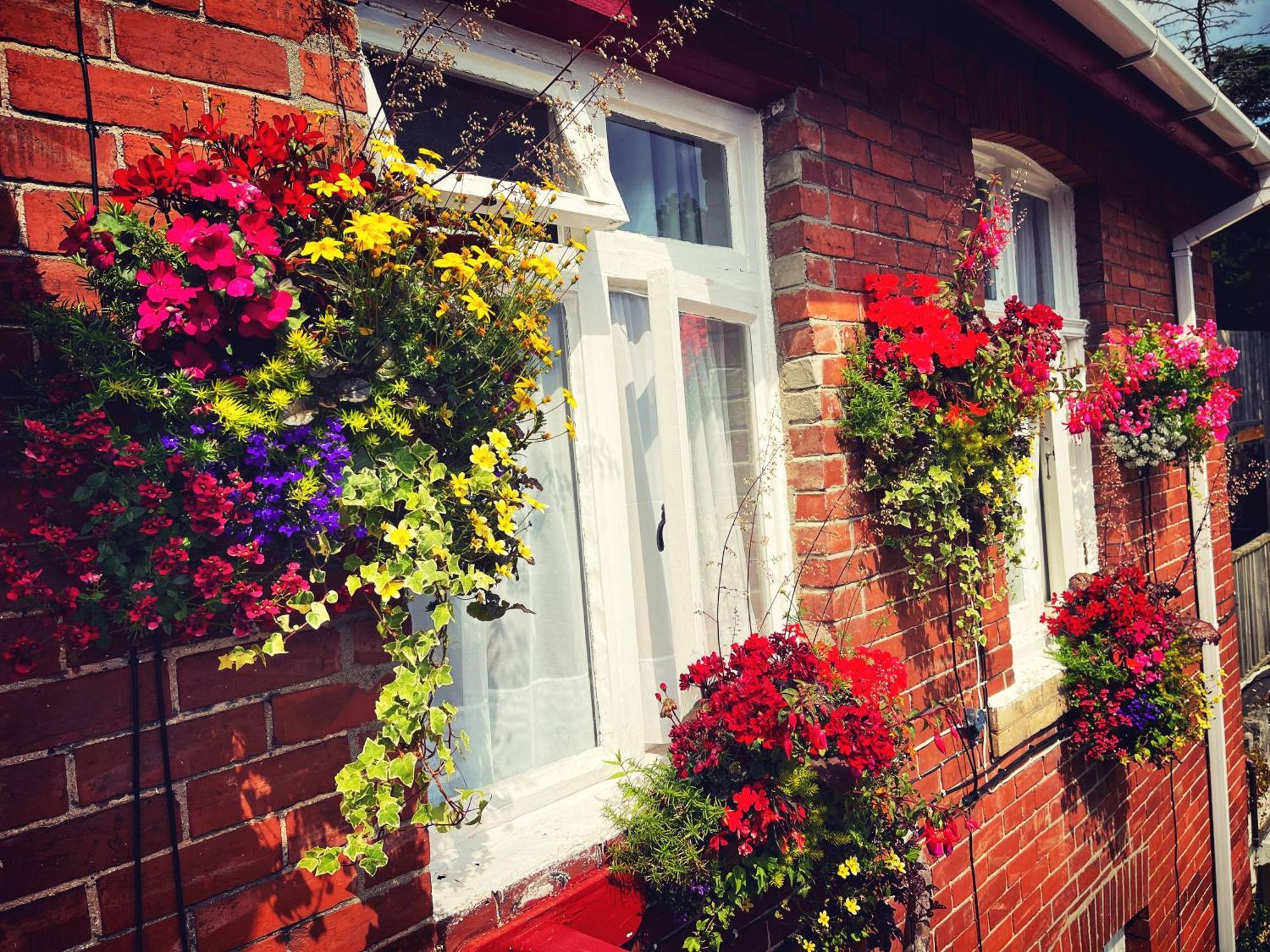 토키 The Robin Hill B&B 외부 사진